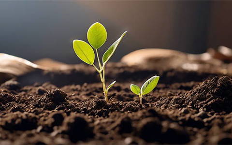 2026不查征信大平台借款，盘点五个快速下款不看征信的平台